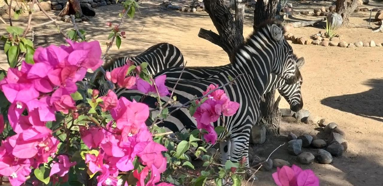 Vakantiehuis Hidden 2-bedroom Gem In A Quiet Wildlife Estate